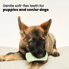 Puppy Brush